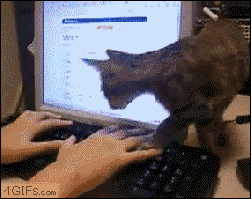 na gon GIF