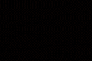 Michael Malice Chat GIF