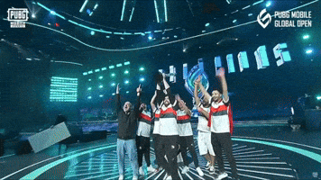 Champion Pubg Mobile GIF by Regnum Carya Esports