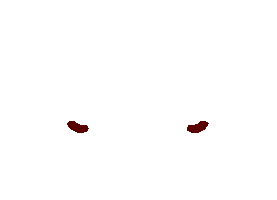 Shadow Lion Sticker