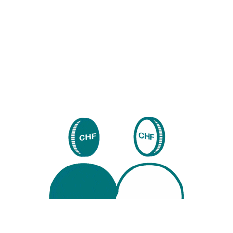 Individualbesteuerung Schweiz Sticker