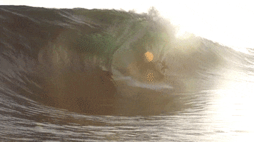 Wipeout GIF