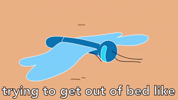 Get Out Of Bed Gifs Get The Best Gif On Giphy Get Out Of Bed Gifs Get The Best Gif On Giphy
