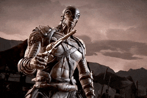 Mortal Kombat GIF