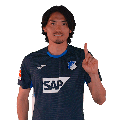 Sport Bundesliga Sticker by TSG Hoffenheim