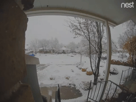 Snow Day Skiing GIF