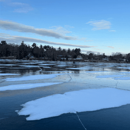 Jason Mallette New York GIF