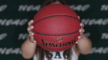 College Basketball Spalding GIF by USAO Drovers