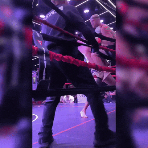 Dsr GIF