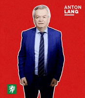 Daumen Hoch Thumps Up GIF by SPÖ Steiermark