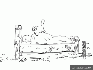  cat GIF