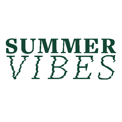 Summer Vibes Sticker
