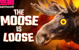 Youtube Thumbnail GIF