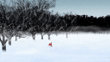 sandstorm  GIF