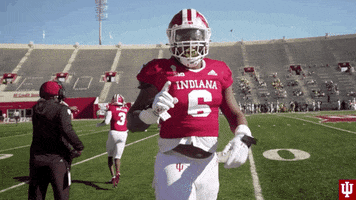 Football No GIF by Indiana Hoosiers