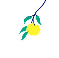 Apple Wonder Sticker by drinkwildwonder