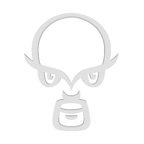 Festival Romania Sticker by Rocanotherworld