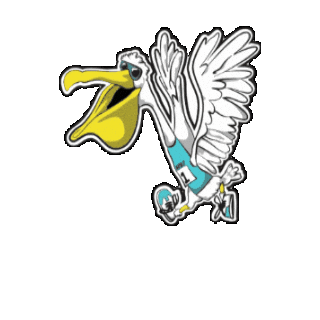 St Pete Run Fest Sticker