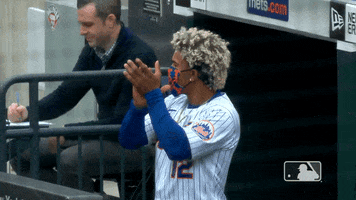 New York Sport GIF by MLB
