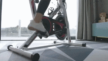 Harison GIF