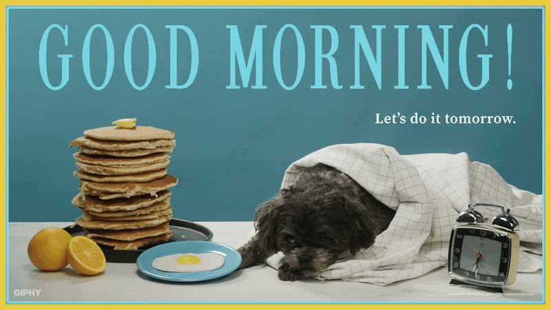 27+ Good Morning Gif Funny Dog Pics