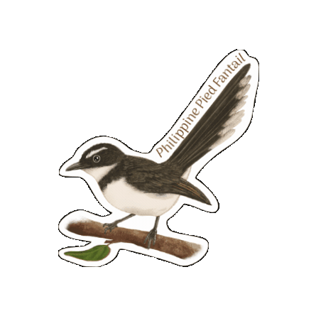 Fantail Sticker