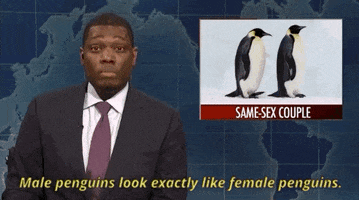 200.gif?cid=fc005b0832ba310d0dff4ac8ab05e9dd2ad7d804cd291add&rid=200.gif&ct=g