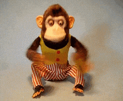 monkey clapping GIF