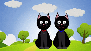 BlackCatVideo cartoon cats pets brothers GIF