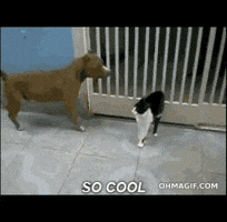 deeper  GIF