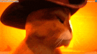 Triste-gato-shrek GIFs - Get the best GIF on GIPHY