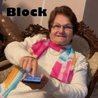 Block Grandma GIF