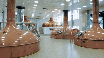 Beer GIF