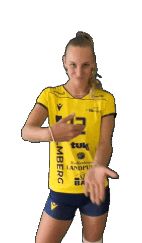 Schwerinersc Sticker by SSCPalmbergSchwerin