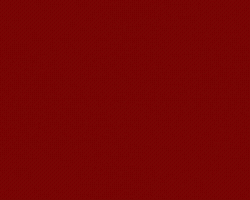 MacerataOggi GIF