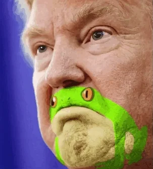 [Image: giphy.webp?cid=ecf05e47n59sm66qxbfpec269...giphy.webp]