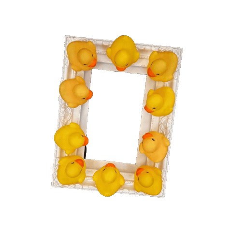 Duck Sticker