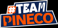 Pineco GIF