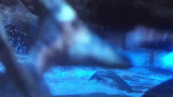 Stare GIF