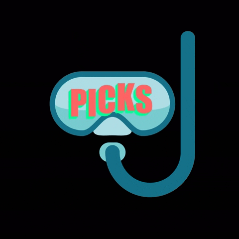 PicksResort picks boji okoboji arnoldspark GIF