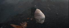 Susie Suh GIF