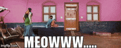Meow Sk GIF