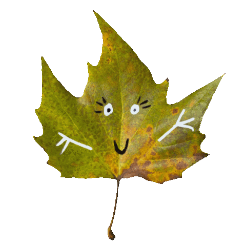 Sticker by Blije bolle buik