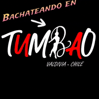 Baile Salsa GIF by TumbaoValdivia
