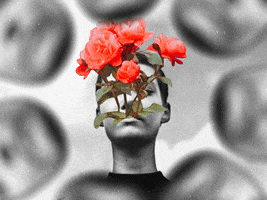 In Bloom GIF by Jay Sprogell