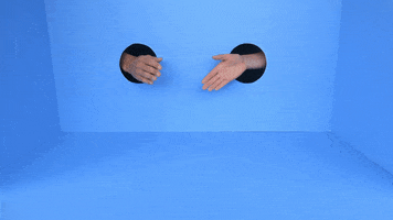 Lindyhengst GIF