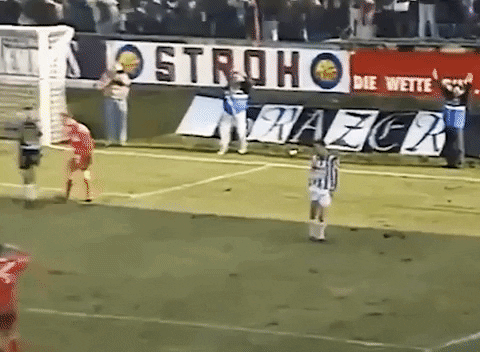 Sturm Graz Celebration GIF by SK Sturm - Sturm Graz Celebration GIF by SK Sturm