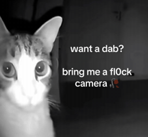 Dab Puffco GIF