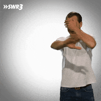 Stop It GIF by SWR3