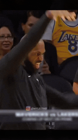 Lebron James Nba GIF